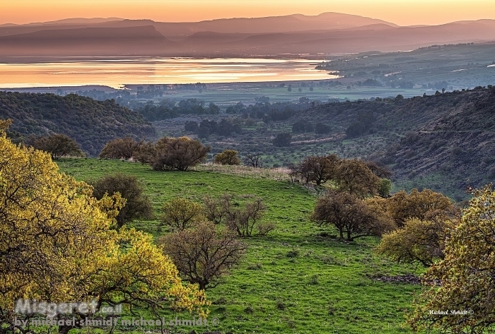 הטבע בצבעי פסטל