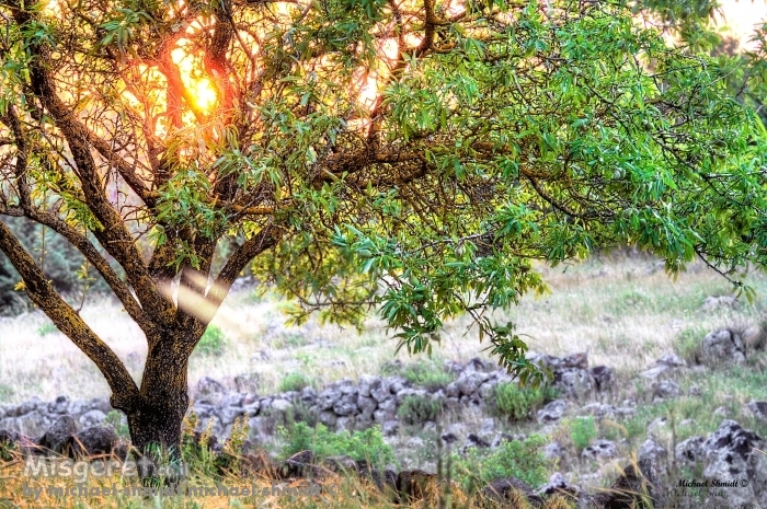 אנרגיה מ הטבע..