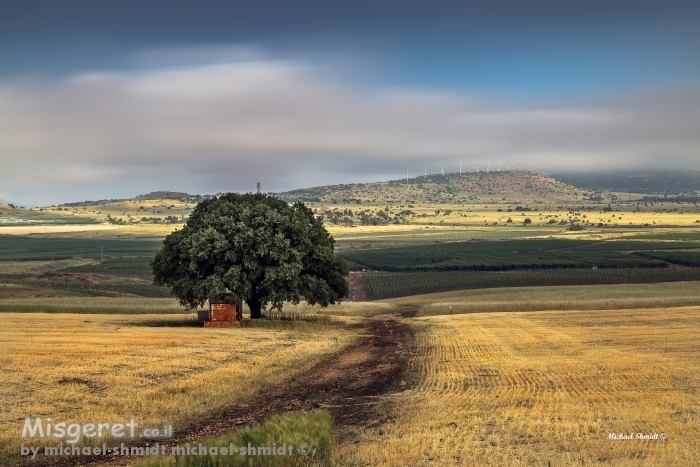 הגולן במיטבו