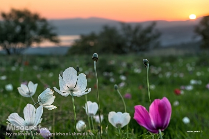מדיטציה בטבע