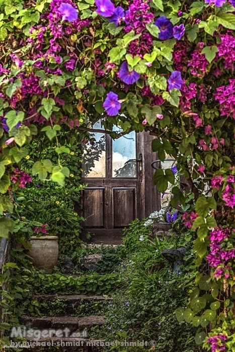 כניסה מצויירת