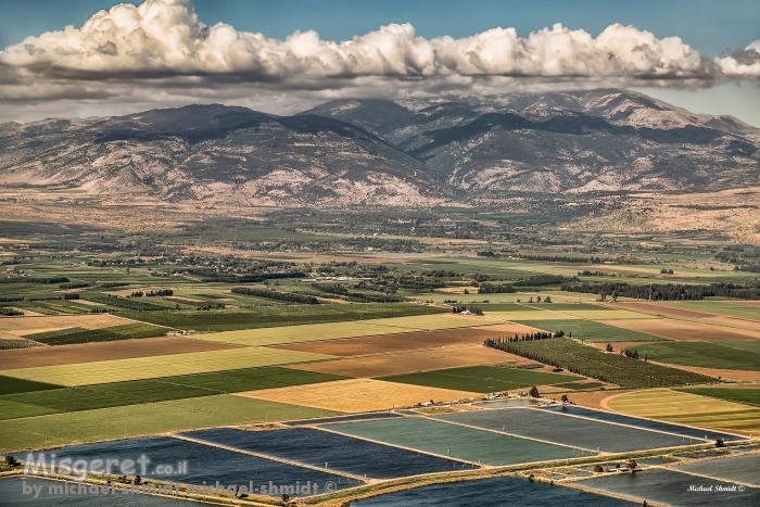 פסיפס ישראלי