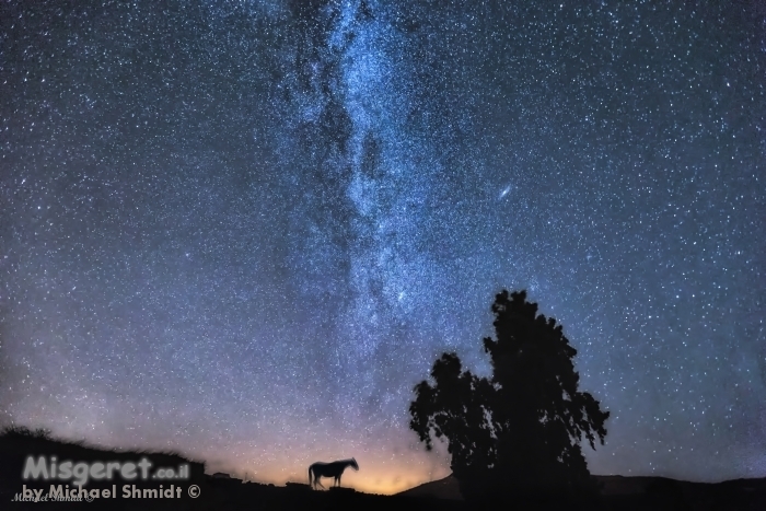 לאורך החומות