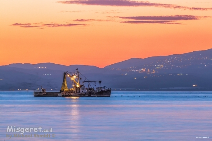 דייג אוהב דגים?