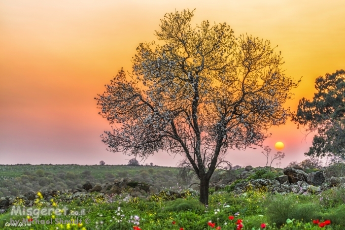 הפשטות של הטבע