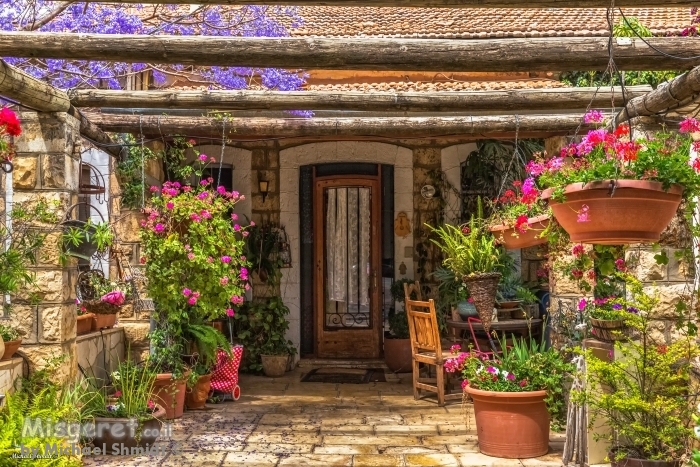 כניסה ציורית לבית