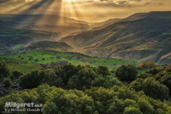 אורות הבריאה