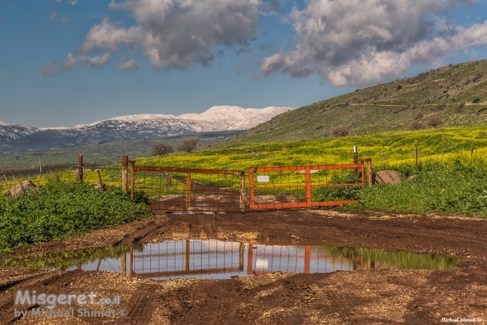 כניסה לאביב