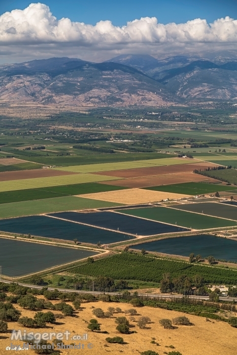 פסיפס של שדות