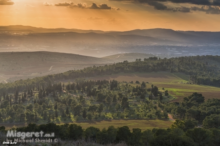 נוף בראשית..