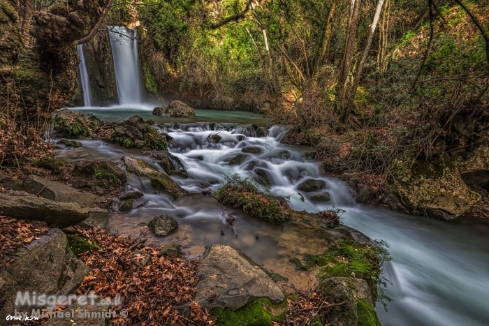 הבניאס שלנו <3