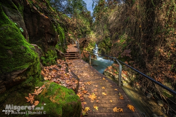 שביל של שלכת..
