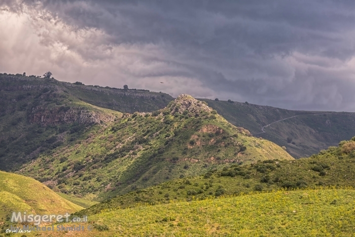 נוף קדומים..