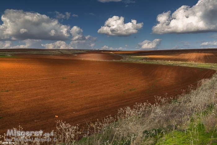 חקלאות ציורית