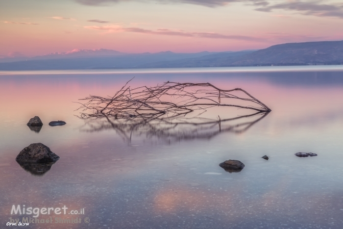 הכנרת כחלום...