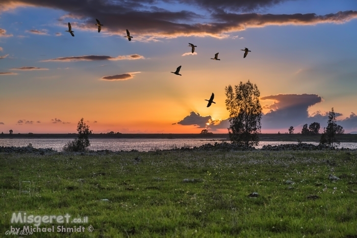 נדידת החורף..
