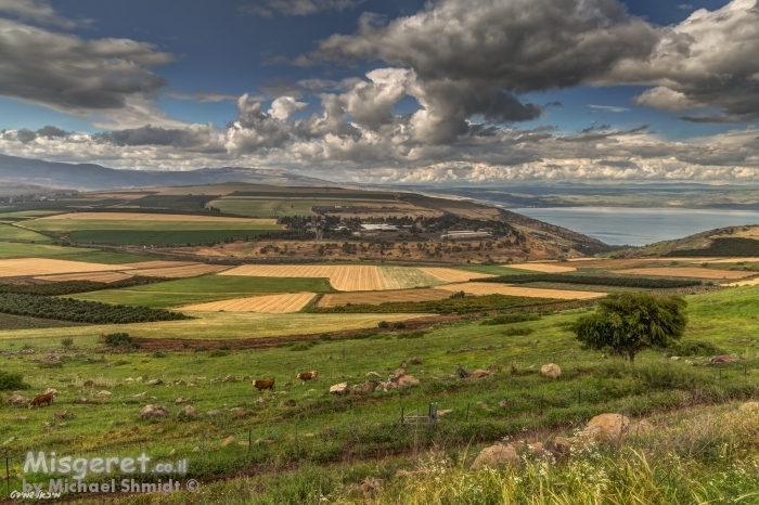 פסטורליה ישראלית