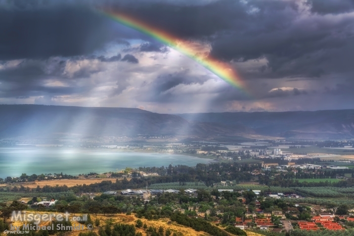 עמק הירדן מקושט..