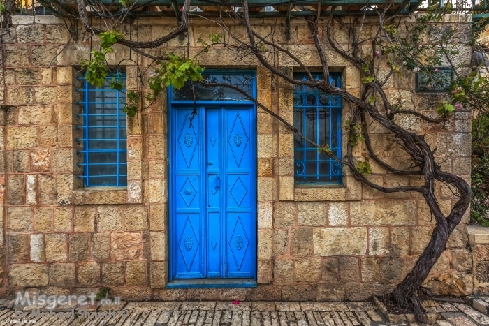 איש תחת גפנו...