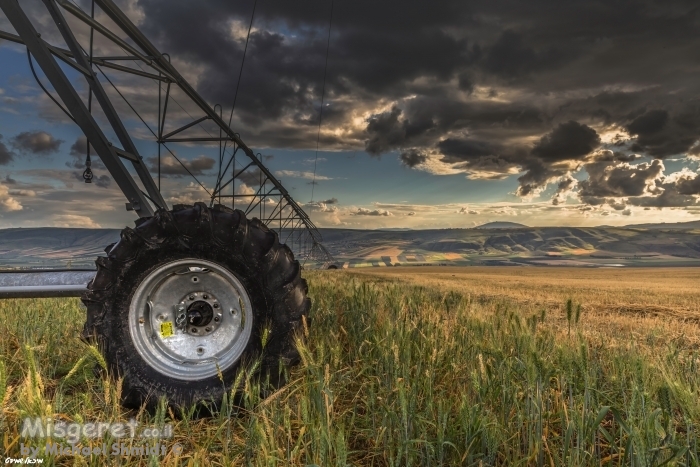 חקלאות מודרנית