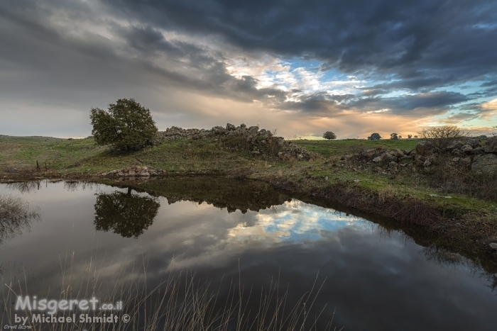 שלולית חורף..