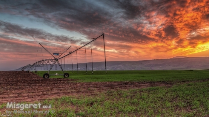 חקלאות ישראלית