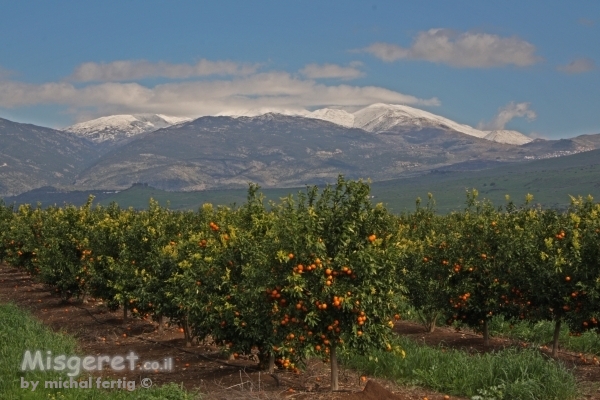חרמון מושלג