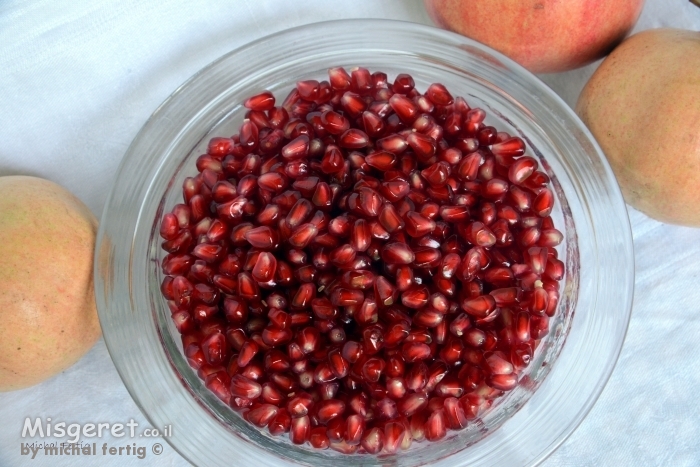 מלוא כל הארץ כבודו