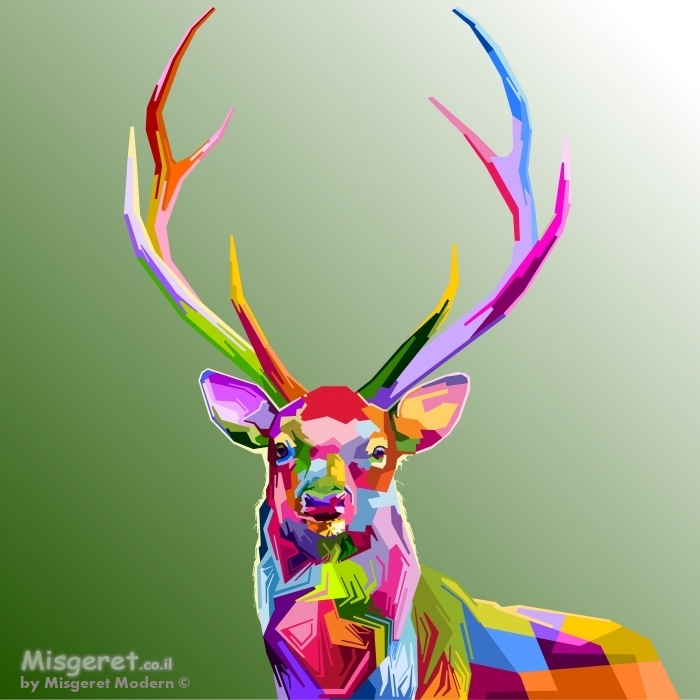 אייל צבעוני