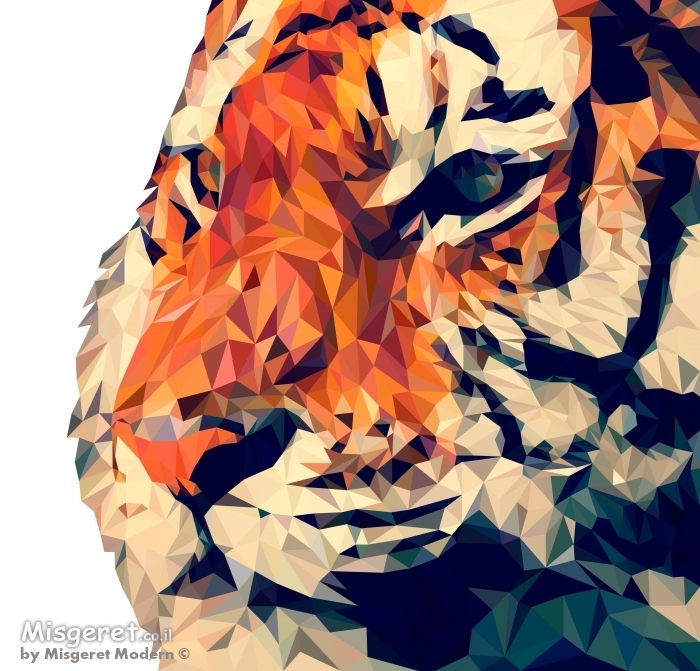 נמר גיאומטרי