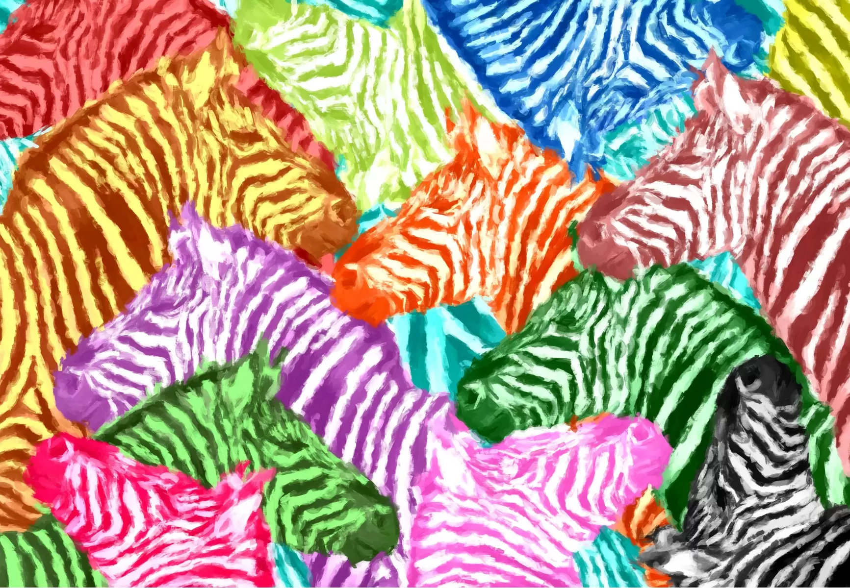 זברות בצבעים - Artpicked - תמונות לחדרי תינוקות רקעים של בעלי חיים  - מק''ט: 329701