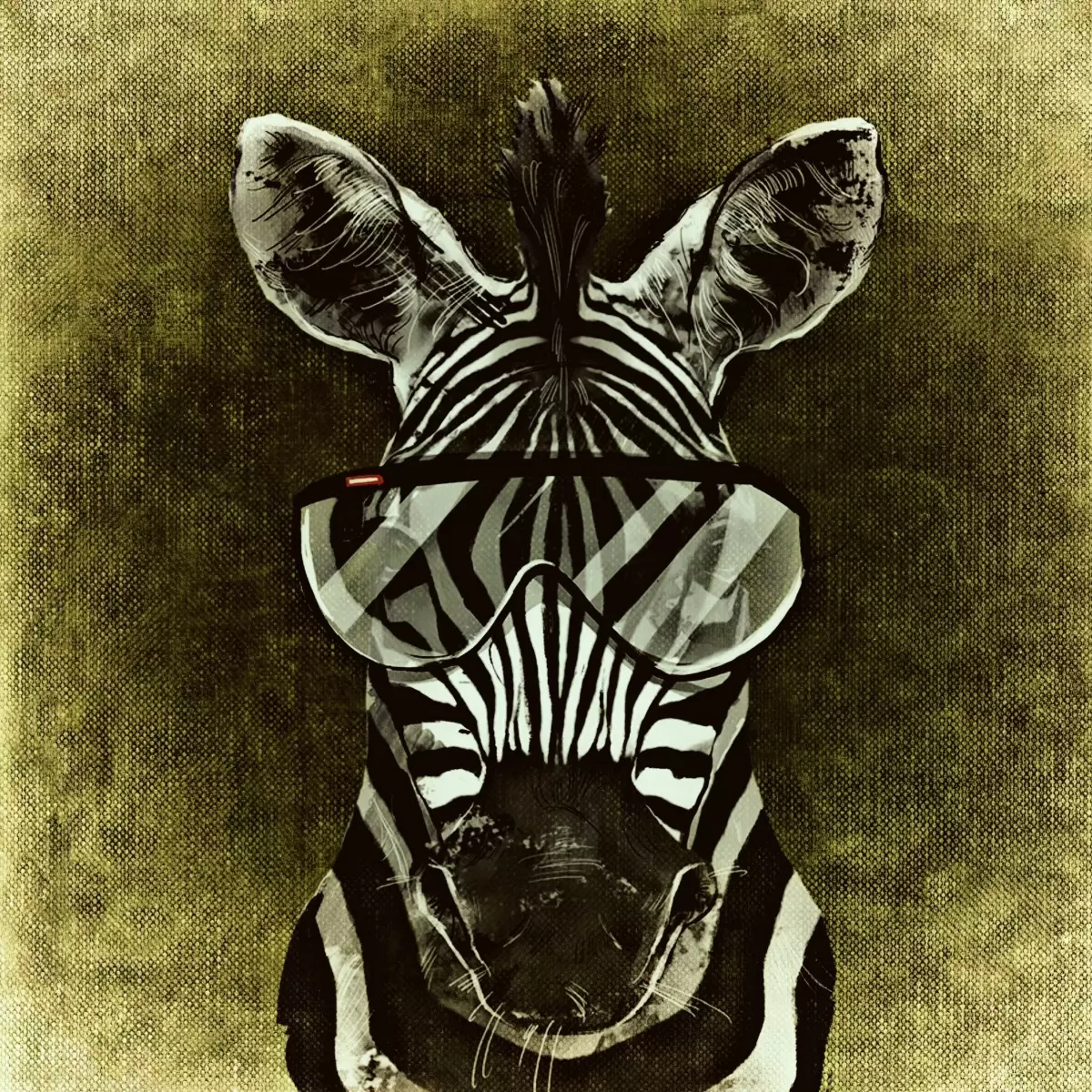 זברה ממושקפת - Artpicked - תמונות וינטג' לסלון רקעים של בעלי חיים  - מק''ט: 329702