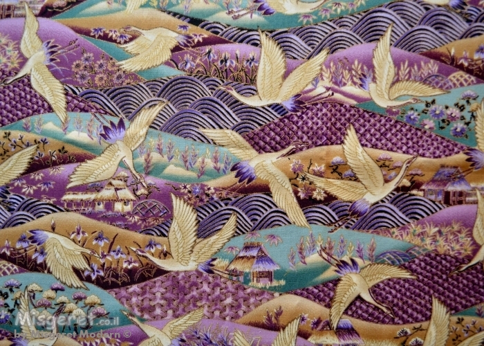 ציפורים דיגיטליות