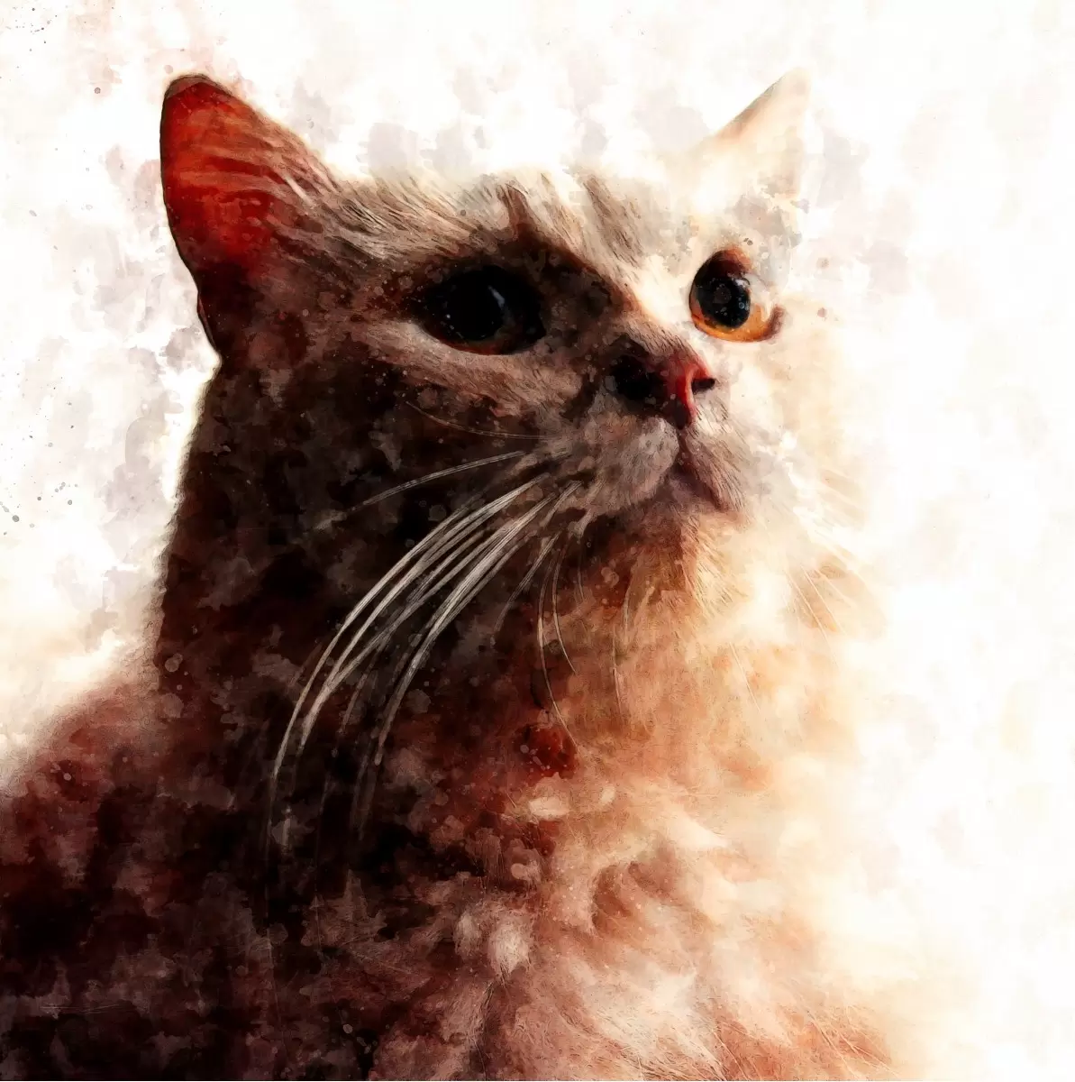 חתולי - Artpicked -  - מק''ט: 329736