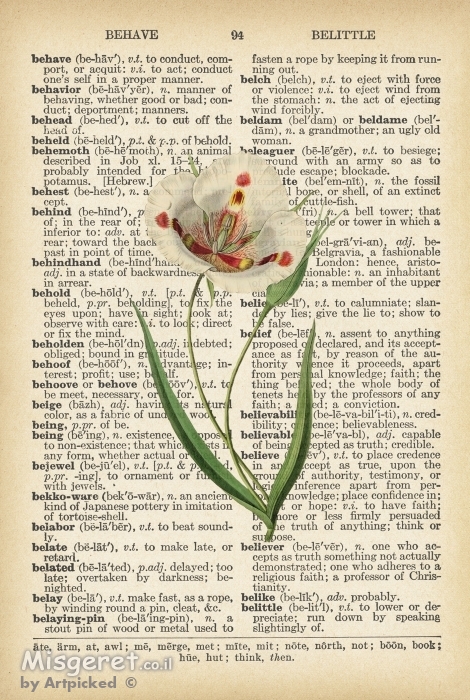 פרח טוליפ על עיתון