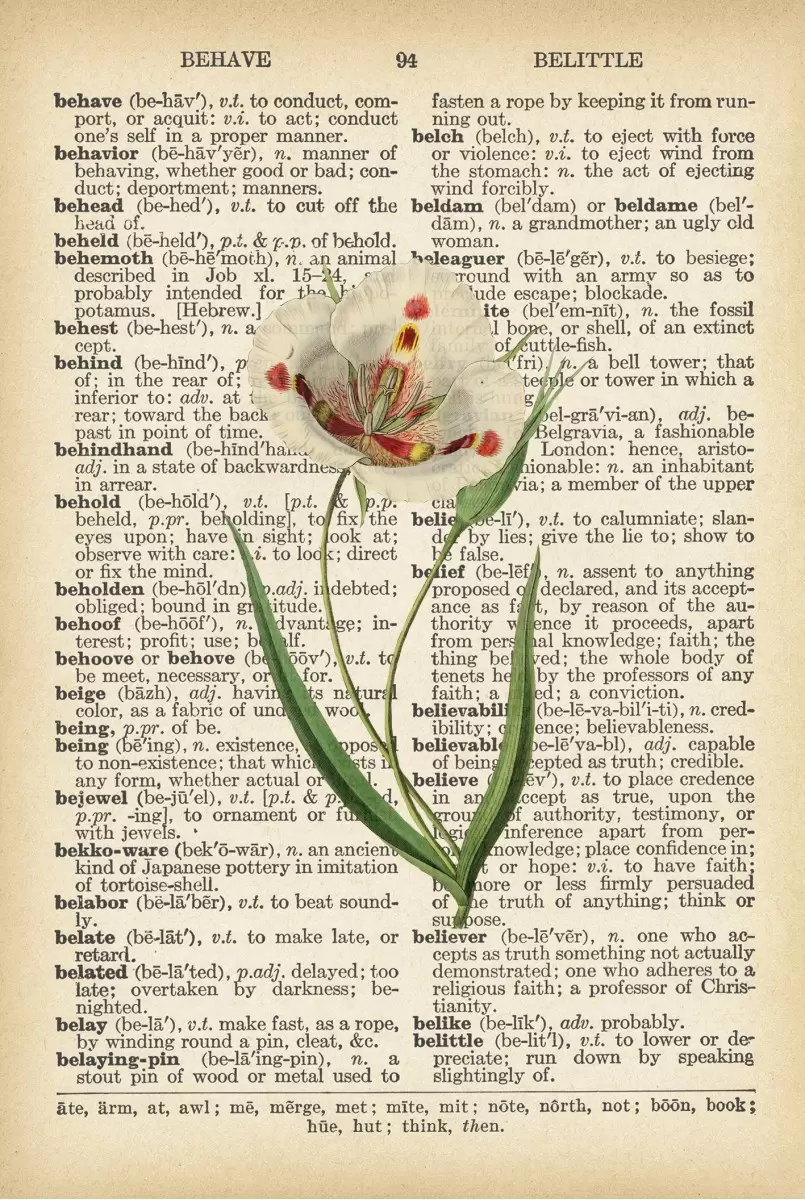 פרח טוליפ על עיתון - Artpicked - פרחים בסגנון רטרו  - מק''ט: 330039