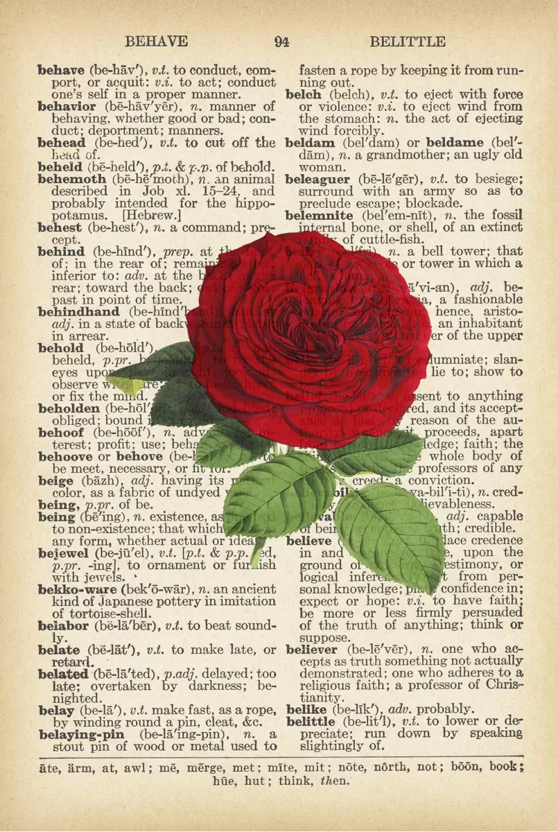 שושנה רטרו על טקסט - Artpicked - פרחים בסגנון רטרו  - מק''ט: 330182