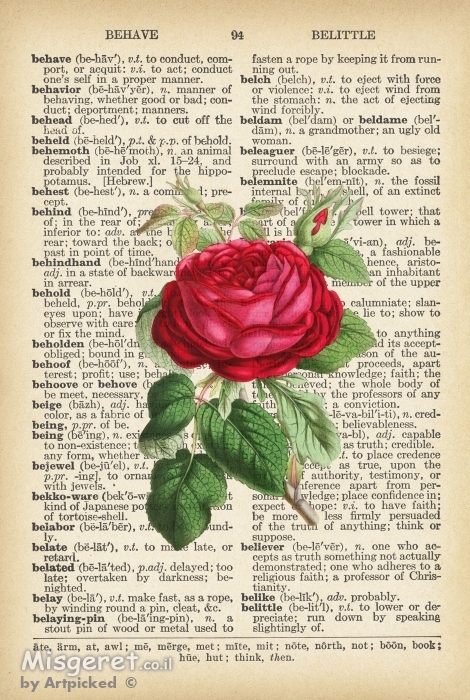 שושנה אדומה רטרו 