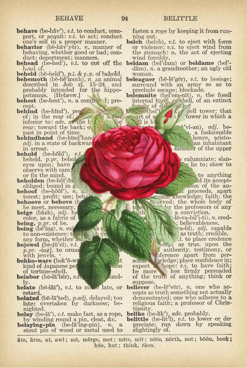 שושנה אדומה רטרו  - Artpicked - פרחים בסגנון רטרו  - מק''ט: 330183
