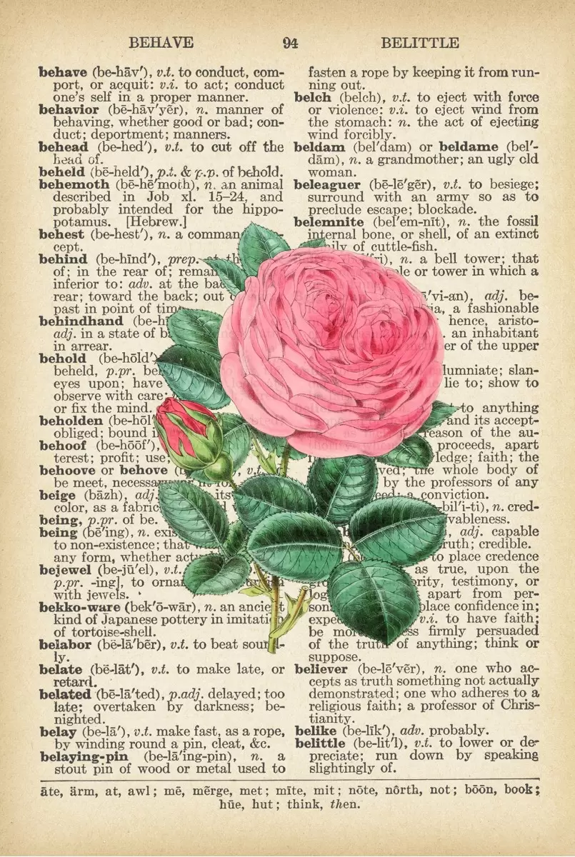 ורד רטרו על טקסט קריא - Artpicked - פרחים בסגנון רטרו  - מק''ט: 330184