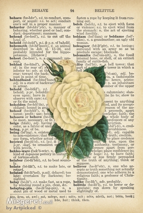 ורד לבן רטרו טקסט