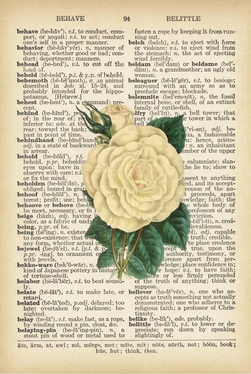 ורד לבן רטרו טקסט - Artpicked - פרחים בסגנון רטרו  - מק''ט: 330186