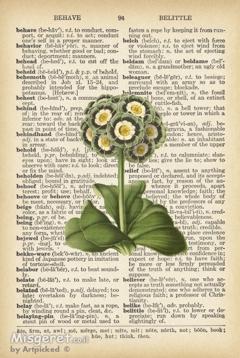 פרחים לבנים פירושים