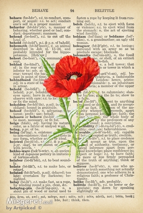 פרג אדום עם זרעים רטרו על טקסט