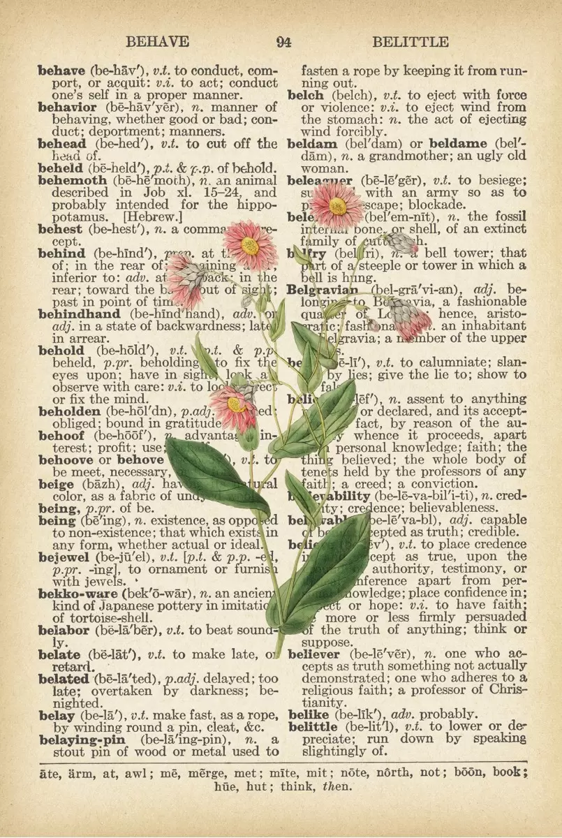 פרח ורוד רטרו על טקסט - Artpicked - פרחים בסגנון רטרו  - מק''ט: 330213