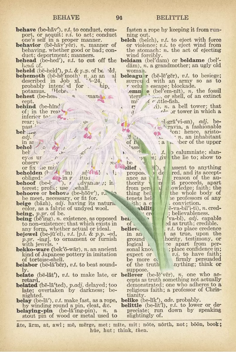 סחלב לבן רטרו על טקסט - Artpicked - פרחים בסגנון רטרו  - מק''ט: 330215