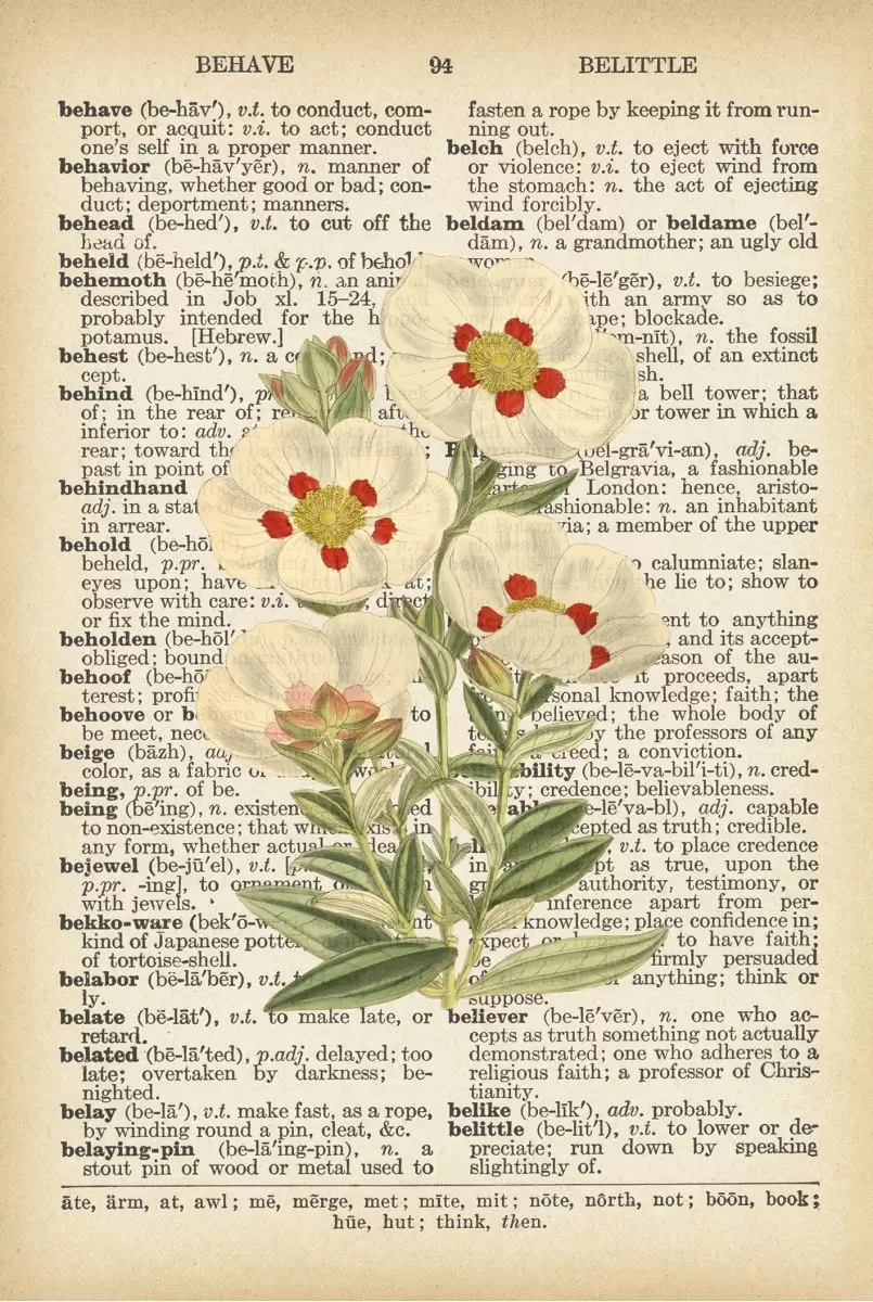 צמח לבן רטרו על טקסט - Artpicked - פרחים בסגנון רטרו  - מק''ט: 330216
