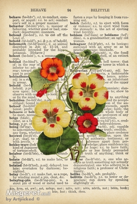 פרח צהוב אדום כתום על נייר