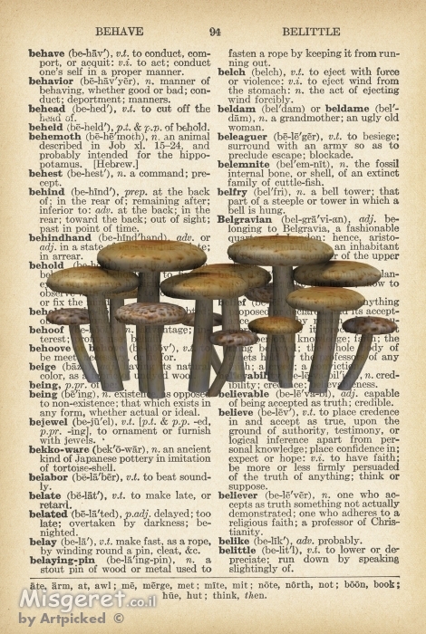 פיטריות רטרו על טקסט