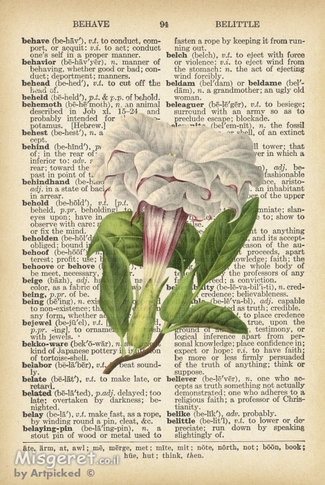 פרח לבן על דף ישן